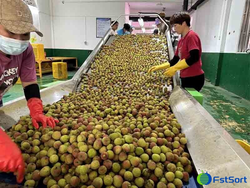 images/1716362717696clasificación de lichi.jpg